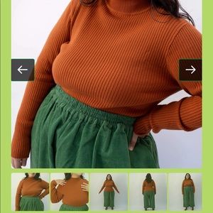 Shiny by Nature Fitted Turtleneck Sweater